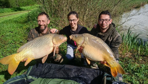 A carp from Renarde, Apr 2023