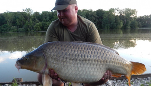 A carp from Renarde, Jul 2021