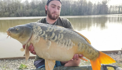 A carp from Renarde, Apr 2021