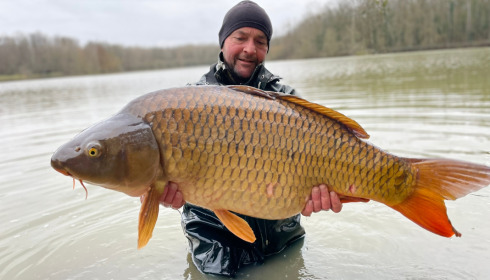 A carp from Renarde, Jan 2023