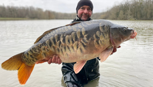 A carp from Renarde, Jan 2023