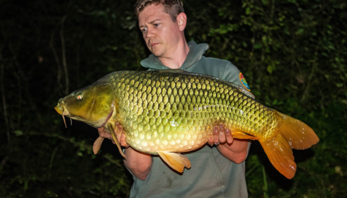 A 31 lb fish from Renarde, Common Carp, Sep 2021