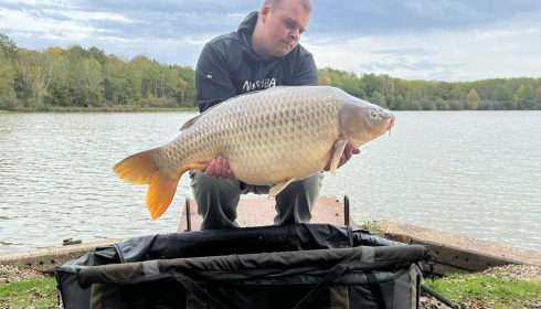 A carp from Renarde, Oct 2022