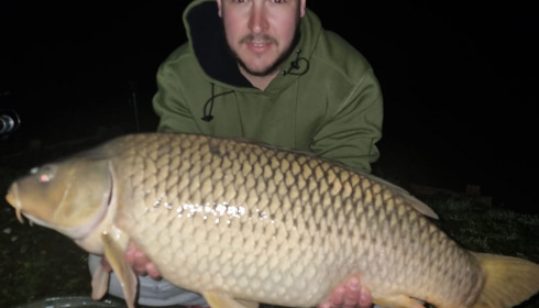 A carp from Renarde, Apr 2022