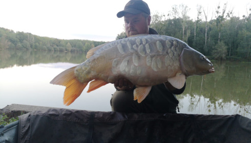 A carp from Renarde, Oct 2022