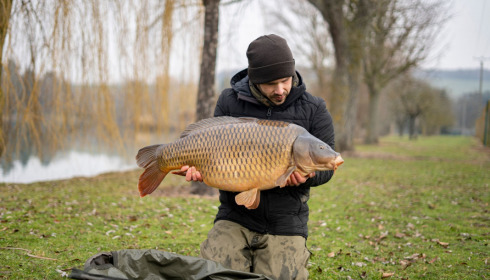 A carp from Seigneurie, Nov 2022