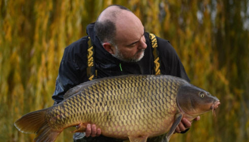A carp from Seigneurie, Nov 2022