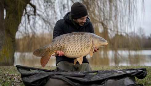 A carp from Seigneurie, Nov 2022