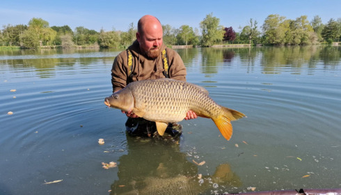 A carp from Seigneurie, May 2022