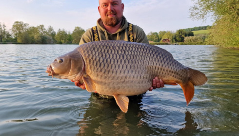 A carp from Seigneurie, May 2022