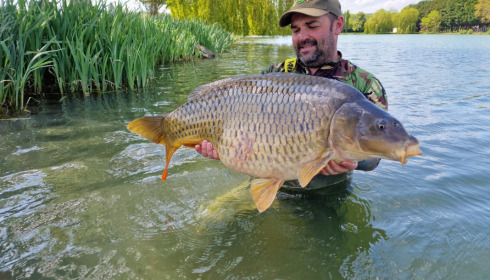 A carp from Seigneurie, May 2022
