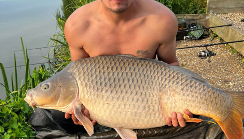 A carp from Seigneurie, Aug 2023