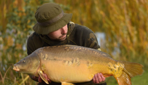A carp from Seigneurie, Nov 2022