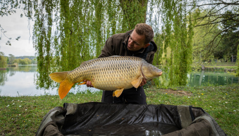 A 29 lb carp from Seigneurie, Bruno, May 2021