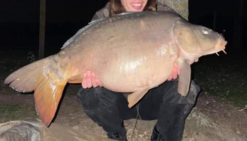 A fish from Seigneurie, Oct 2021