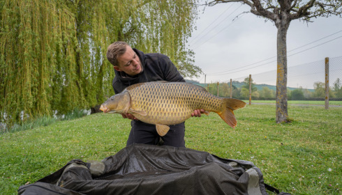 A 33 lb carp from Seigneurie, Bruno, May 2021