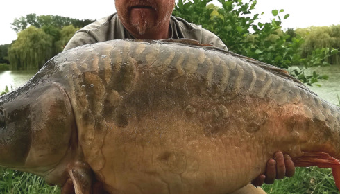 A fish from Seigneurie, Aug 2023
