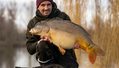 A carp from Seigneurie, Nov 2022