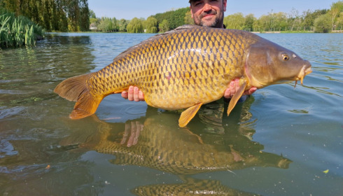 A carp from Seigneurie, May 2022