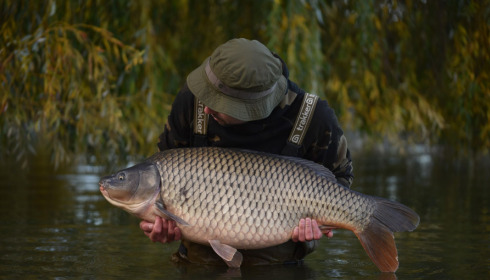 A carp from Seigneurie, Nov 2022