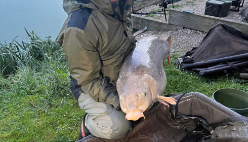 A 59 lb 8 oz fish from Seigneurie, The big common - side on, Apr 2023