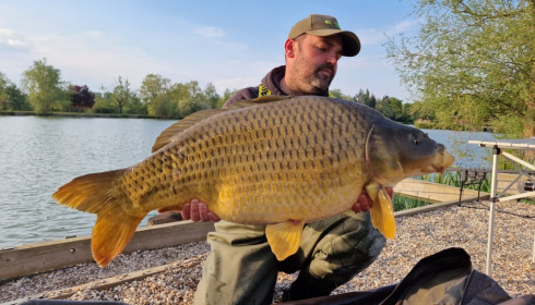 A carp from Seigneurie, May 2022