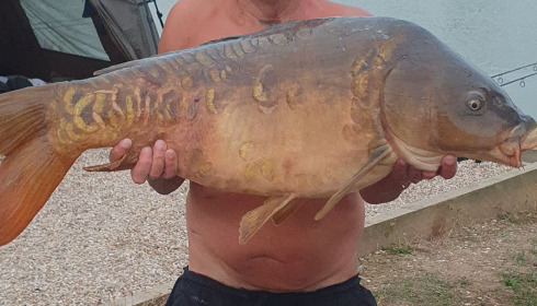 A fish from Seigneurie, Mirror, Jul 2022