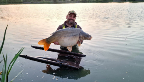 A carp from Seigneurie, May 2022