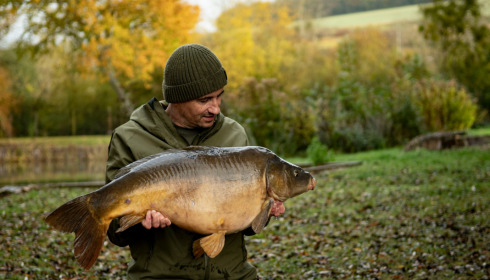 A carp from Seigneurie, Nov 2022