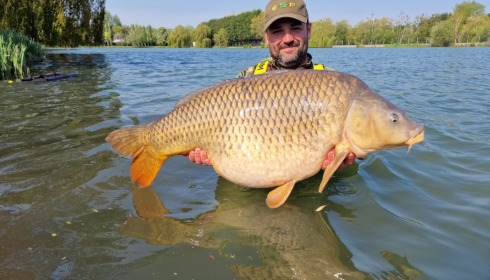 A carp from Seigneurie, May 2022