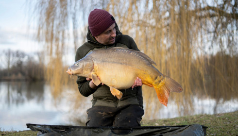 A carp from Seigneurie, Nov 2022