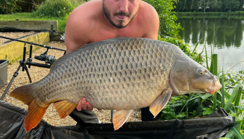 A carp from Seigneurie, Aug 2023