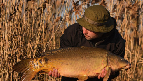 A carp from Seigneurie, Nov 2022