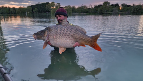 A carp from Seigneurie, May 2022