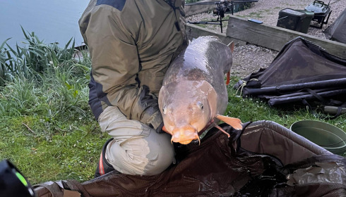 A 59 lb 8 oz carp from Seigneurie, Stephen Cook, Jun 2023