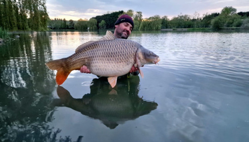 A carp from Seigneurie, May 2022