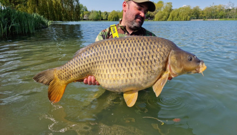 A carp from Seigneurie, May 2022
