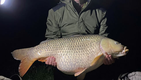 A 51 lb fish from Seigneurie, Common (the big one), Apr 2022
