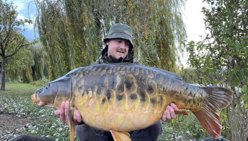 A fish from Seigneurie, Oct 2021