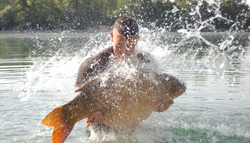 A carp from Sky Lake, Aug 2021