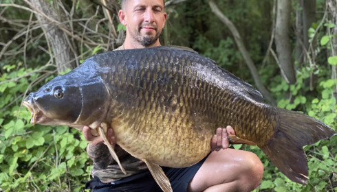 A carp from Sky Lake, Jun 2023