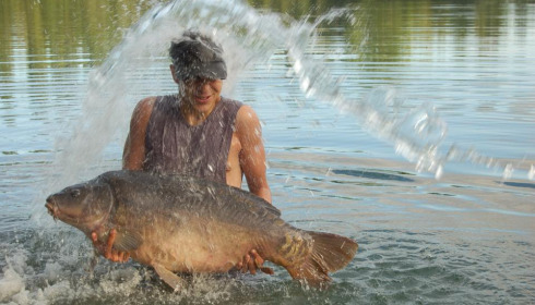 A carp from Sky Lake, Aug 2021