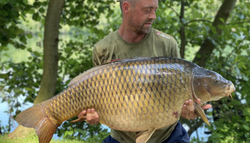 A carp from Sky Lake, Jun 2023