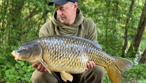 A carp from Sky Lake, Jun 2023
