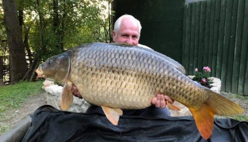 A 46 lb carp from Sky Lake, Aug 2021