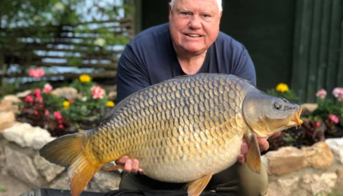 A carp from Sky Lake, Aug 2021