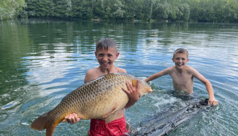 A carp from Sky Lake, Aug 2021
