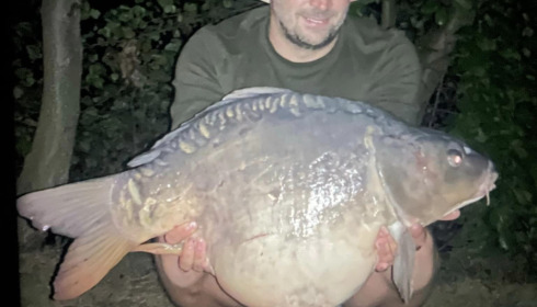 A carp from Sky Lake, Jul 2023