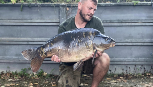 A carp from Sky Lake, Aug 2022
