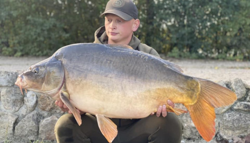 A carp from Sky Lake, Sep 2022